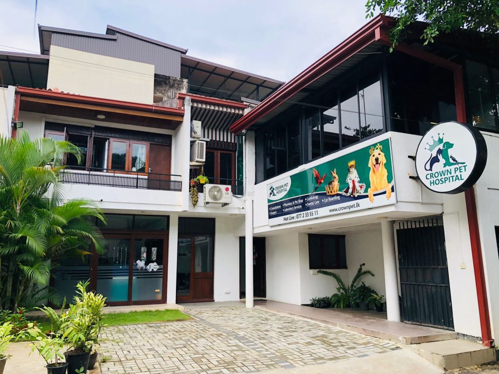 Crown Pet Hospital