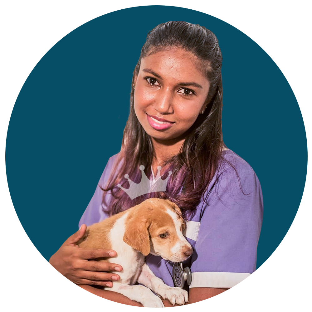 Dr. Alexandria de Lima